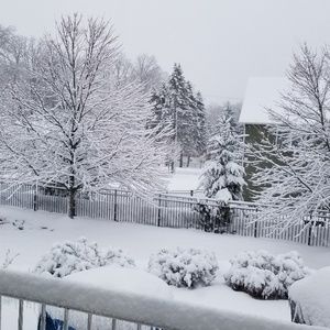 Meet your Posher, Neil